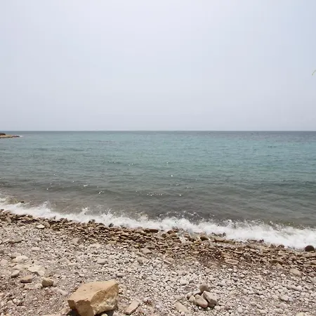 Thorodin Breathtaking 14p 1st Line Sea * El Campello