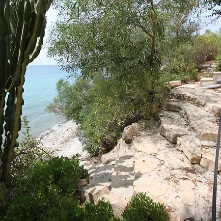 Thorodin Breathtaking 14p 1st Line Sea El Campello